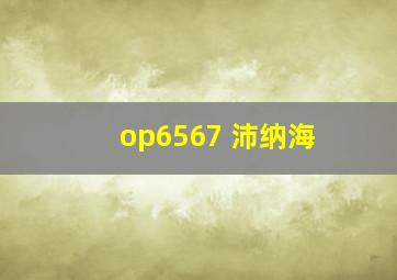 op6567 沛纳海